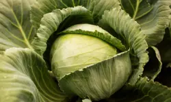 Colina es el nutriente que contiene la col de bruselas
