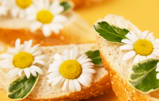 Manzanilla Plantas medicinales